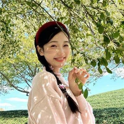 甜木兰第三季 在线观看