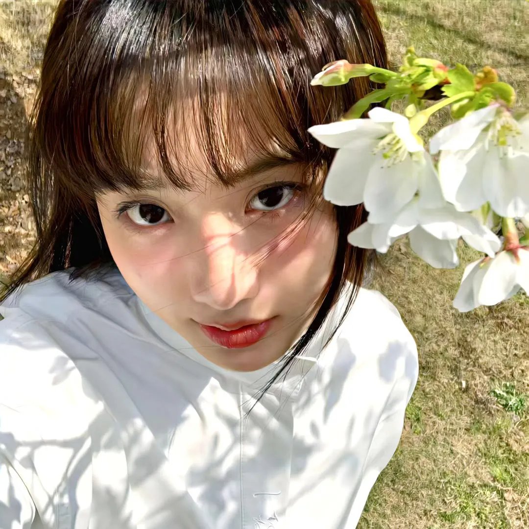肉谱团 在线观看
